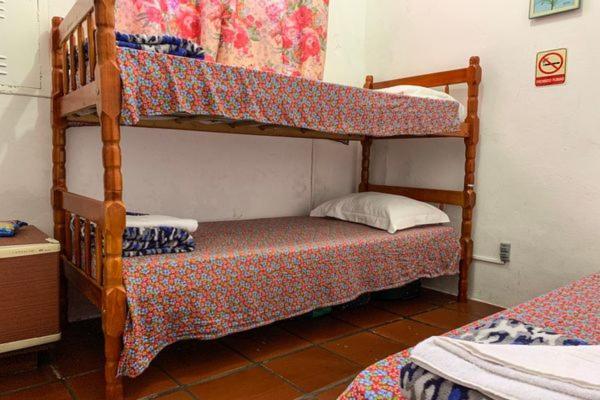 Hotel Pousada Edelweiss フロリアノポリス エクステリア 写真